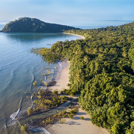 Cape Trib Beach House Cape Tribulation Extérieur photo