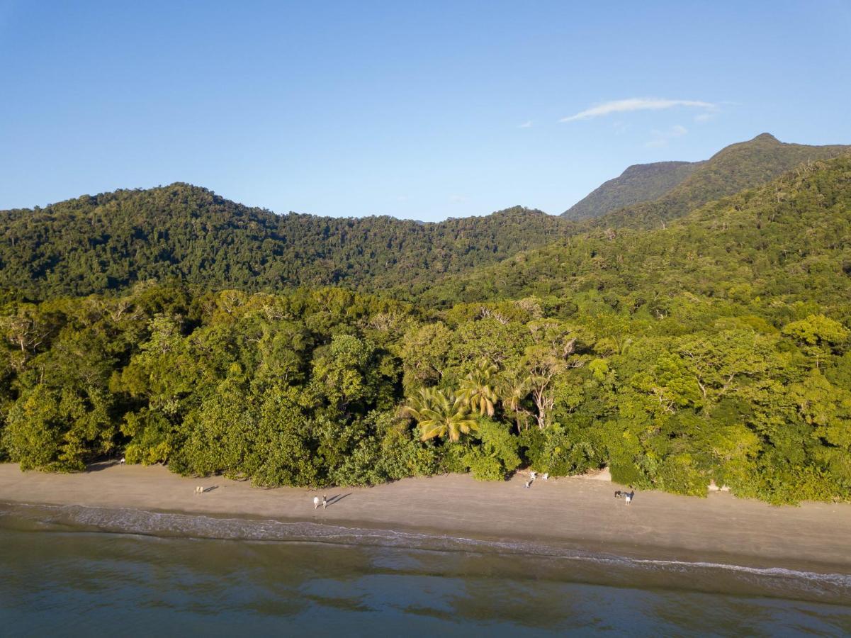 Cape Trib Beach House Cape Tribulation Extérieur photo