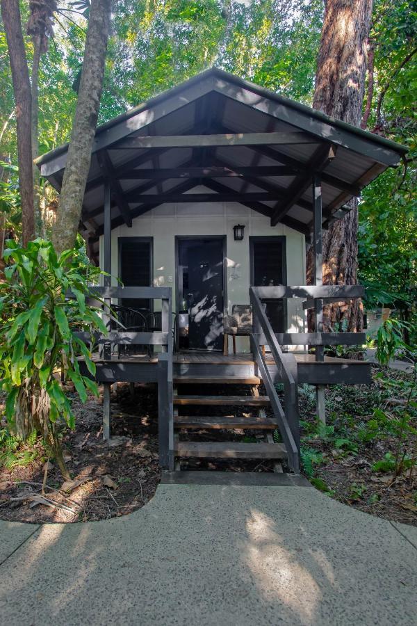 Cape Trib Beach House Cape Tribulation Extérieur photo