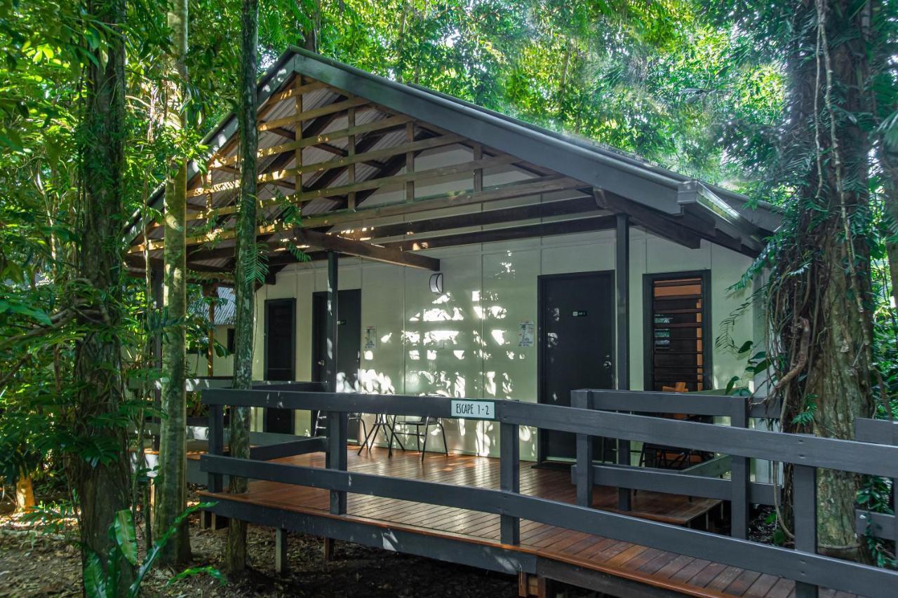 Cape Trib Beach House Cape Tribulation Extérieur photo