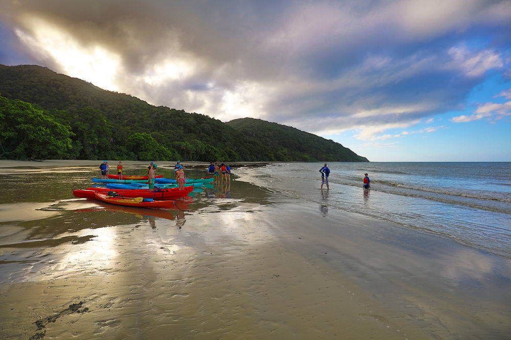 Cape Trib Beach House Cape Tribulation Extérieur photo