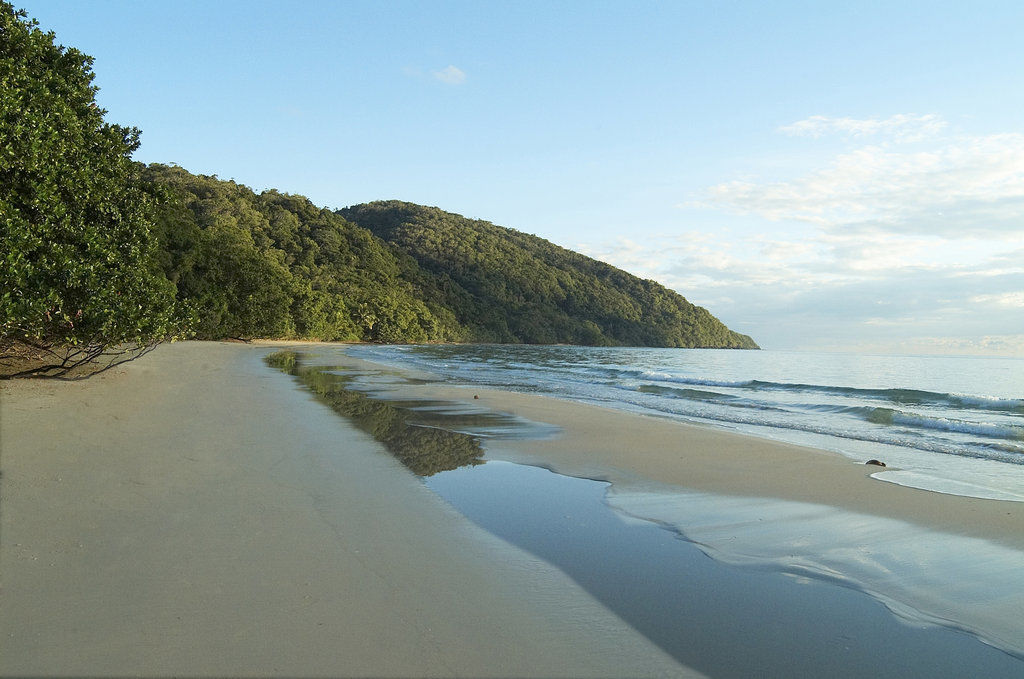 Cape Trib Beach House Cape Tribulation Extérieur photo