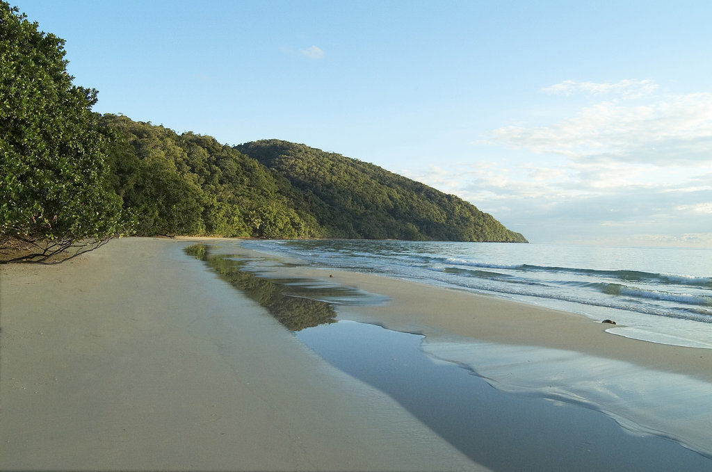 Hotel Cape Trib Beach House à Cape Tribulation Extérieur photo