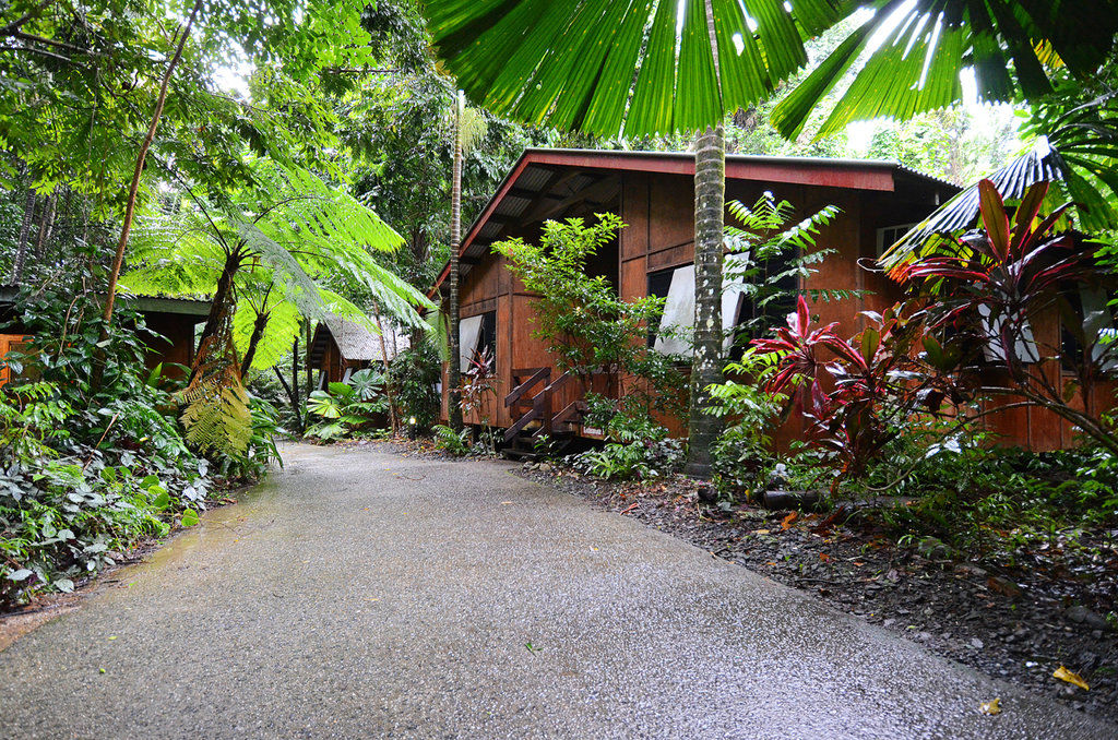 Hotel Cape Trib Beach House à Cape Tribulation Extérieur photo