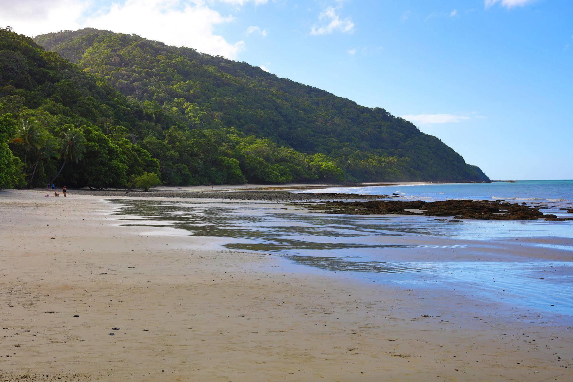 Cape Trib Beach House Cape Tribulation Extérieur photo
